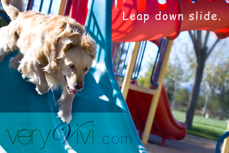 Leap Down Slide