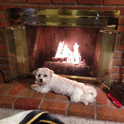 Toasty in front of the fire