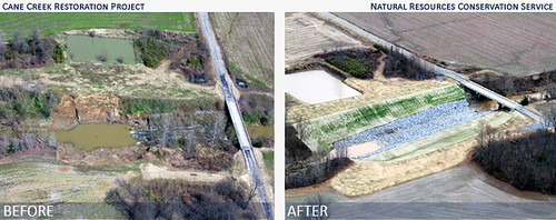 NRCS offered technical guidance for not only the stabilization of the creek bank and erosion control, but also the types of vegetation best suited for western Tennessee soils.