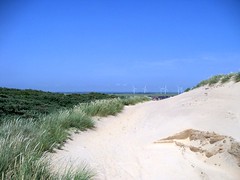 Camber Sands