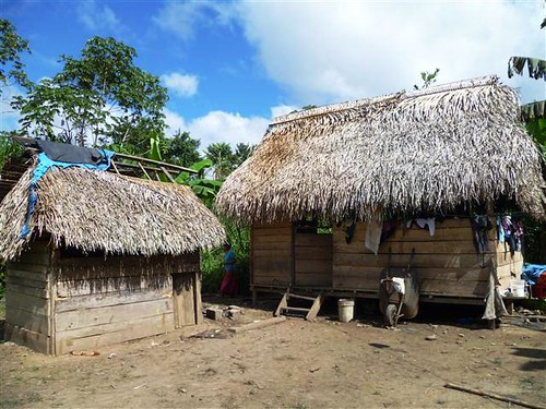 亞馬遜印地安人的部落房舍，不管樑柱或屋頂，都充分利用棕櫚樹製成，恰如台灣原住民以樟樹或瓊葉海棠來做為建材一樣。攝影：林貞妤。