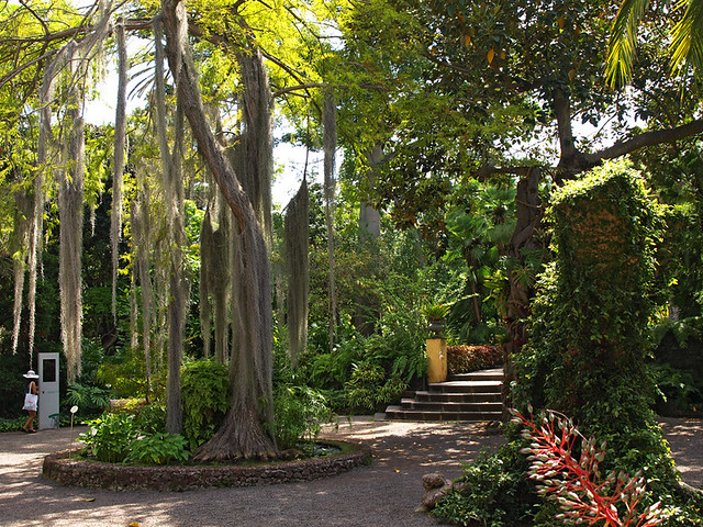 Botanical Gardens, Puerto de la Cruz, Tenerife