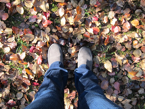 happy fall feet