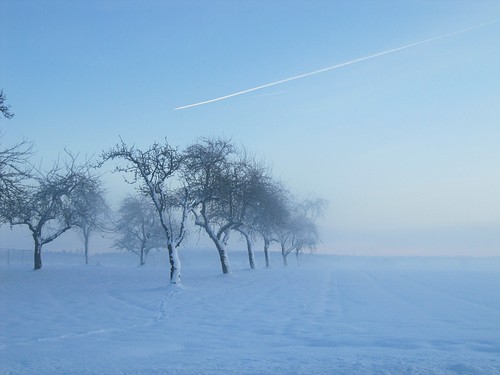 trees by marinagrr