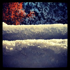 Ice crystals on #snow