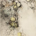 蘋果II.粉彩、水彩、木炭、紙本.73x54cm.2012