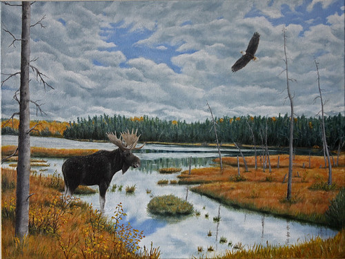 Moose in Bog by Sid's art