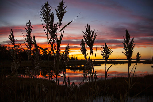 Sunset on the Marsh by RachelGouk