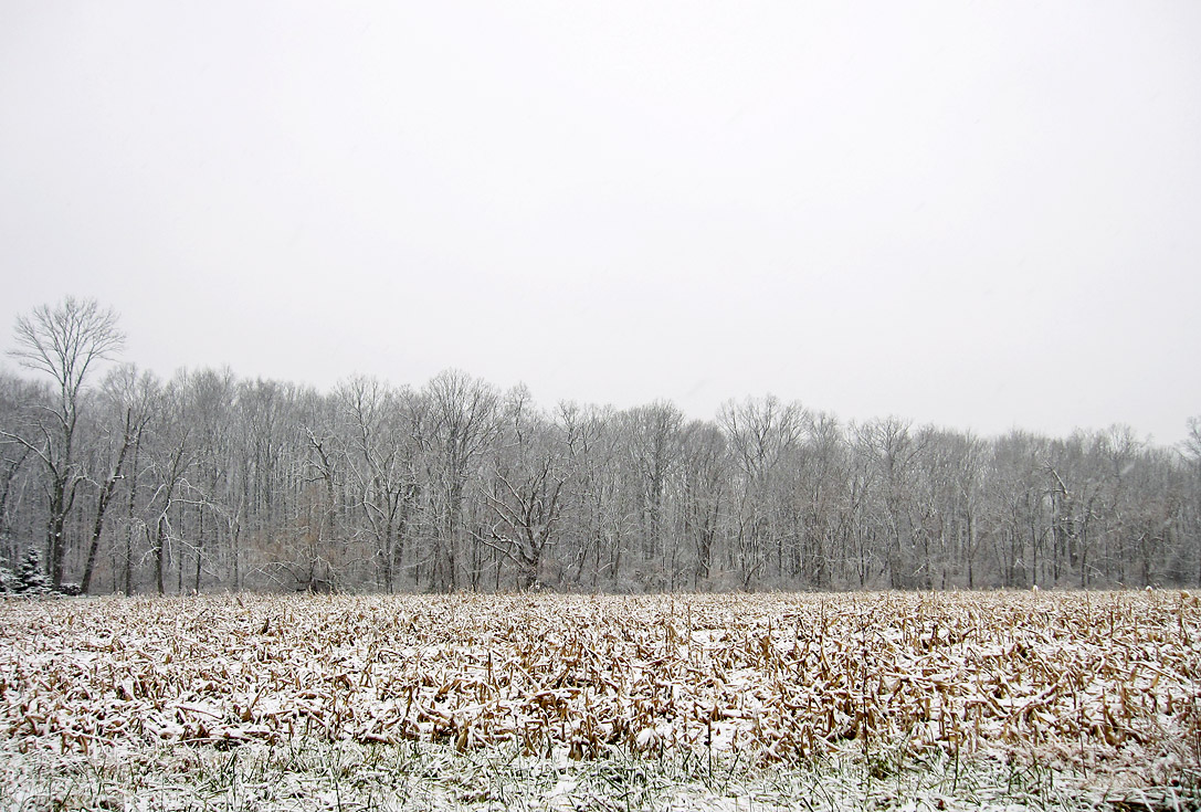 IMG_5568 Snowy fields