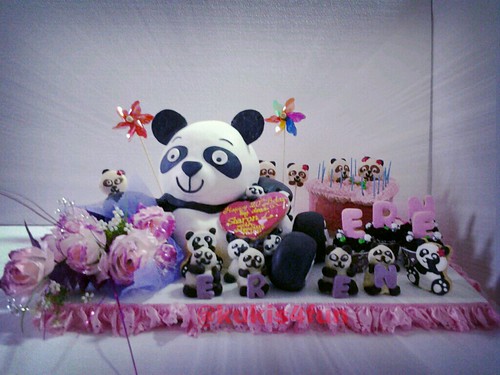 all about Panda by kukis4fun