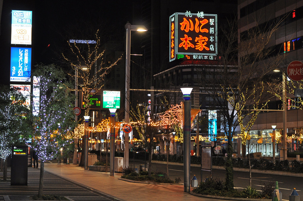 Новогодняя сказка '2013. Shirakawa-go-Takayama-Kanazawa-Mitake/Okutama +бонус*