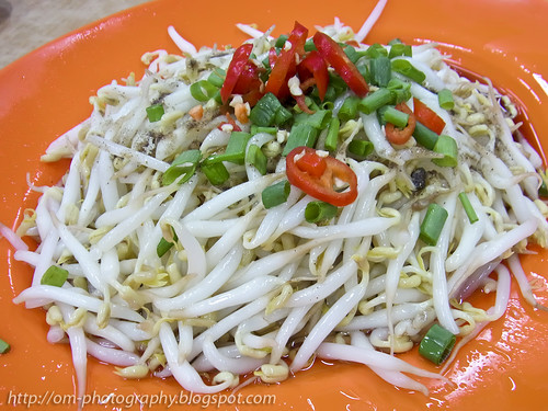 plump and crunchy tauge / bean sprouts R0020586 copy