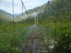 Bridges of Ecuador