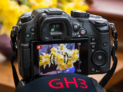 GH3 Review