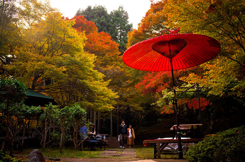 momiji '12 - autumn leaves #15 (near Jingo-ji temple, Kyoto)