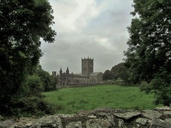 ST DAVID'S CATHEDRAL