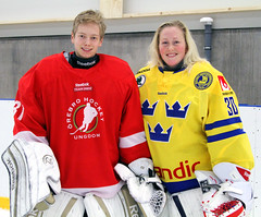 Svensk Ishockey
