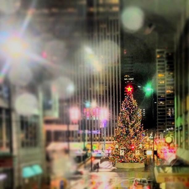 oh Christmas Tree #christmas #fountain #square #downtowncincy #cincinnati #ohio
