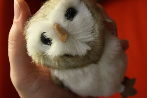 leff gave me an owl by Rakka