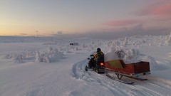 Vintersemester i Skärsjövålen