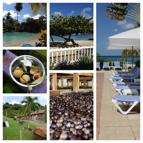 Resor 2012: Grenada