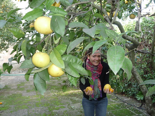 Elisa with grapefruits!