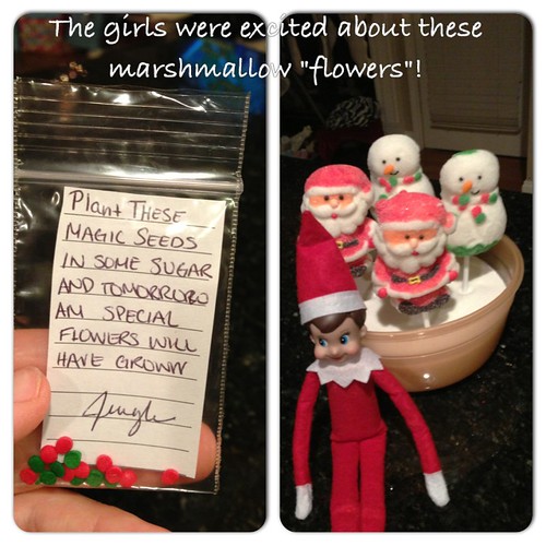Jingle the Elf on the Shelf