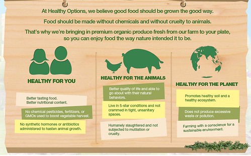 healthy options-organic farm 2