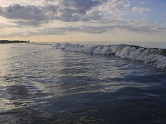 Graye sur Mer sept 2016