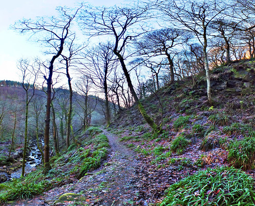 Winter - path, Colden valley by phil openshaw