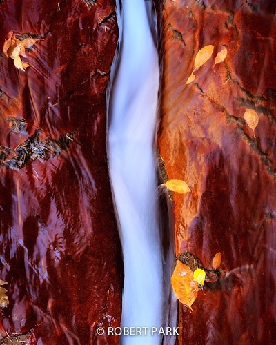 "Silk Stream-" Zion National Park By Robert Park http://www.rob7ert-park.com by Robert Park Photography
