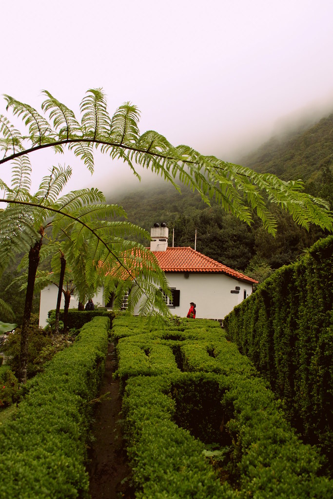 The Madeira Island