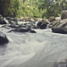 Catmon River - Cebu