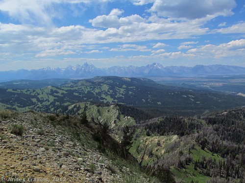 The Teton Range from Mount Leidy, Bridger-Teton National Forest, Wyoming