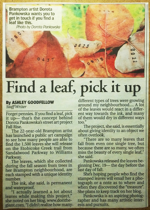 Find a Leaf, numbered leaves, stamped leaves
