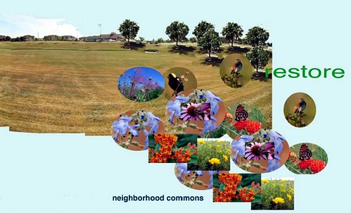 the NEA-assisted Fargo Project will help transform a stormwater retention basin into a neighborhood commons (courtesy of city of Fargo, ND)