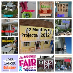 12 Months of House Projects: 2012