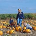 Hoffman's Dairy Garden - pumpkin patch, mom/kids 2 - 106