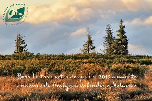 Boas Festas e votos de que em 2013 aumente o número de Amigos a defender a Natureza