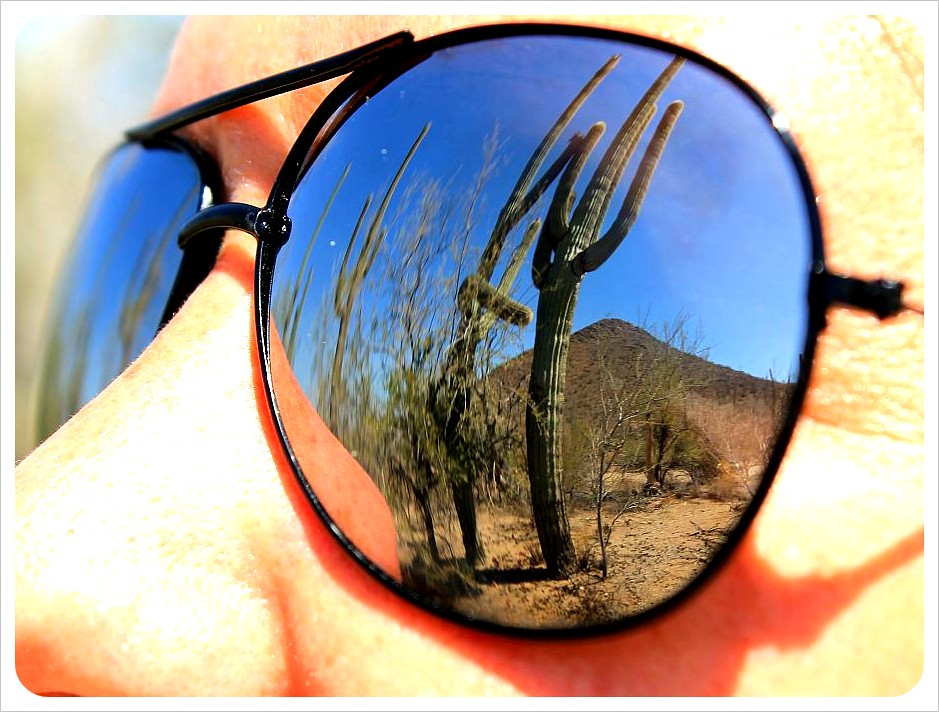 jess sunglass reflection saguaros