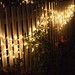 Neighborhood Holiday Lights 2012 - 07