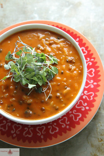 Spicy Tomato Lentil Soup