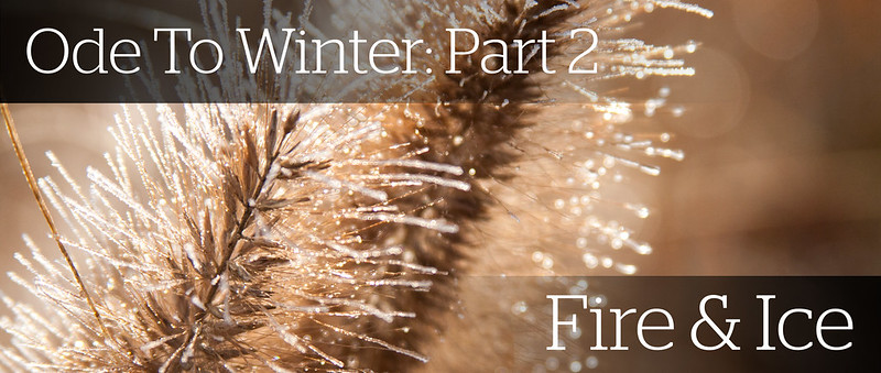 Winter Interest 2 -Fire &  copy