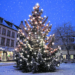 Merry Christmas to you! Fröhliche Weihnacht!