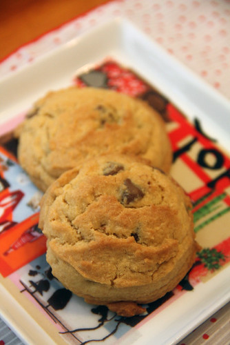 Closeup-cookie