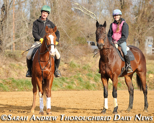 Retired Racehorse Training Project’s 100 Day Thoroughbred Challenge: Steuart Pittman