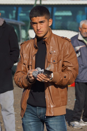 Young man at the pigeon market in Istanbul today by CharlesFred