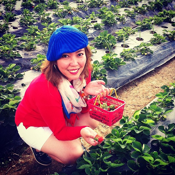 Strawberry picking at La Trinidad #Baguio #Travel #strawberries #familytrip #instatravel #philippines #itsmorefuninthephilippines