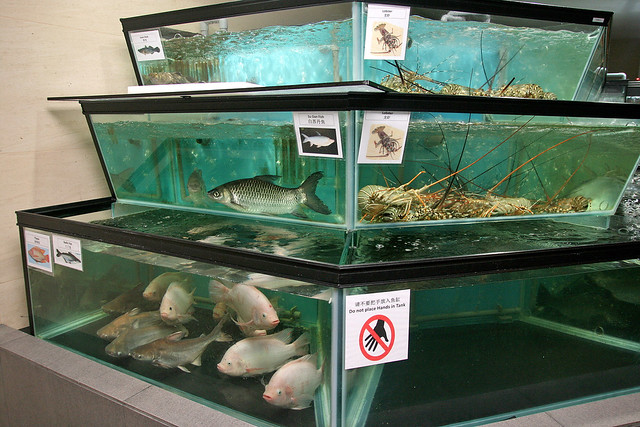The live fish is neatly labelled in two languages