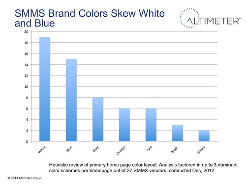 SMMS Brand Colors Skew White  and Blue